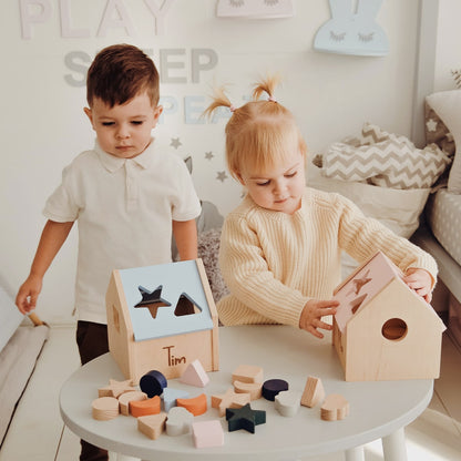 Shape Sorter Pink